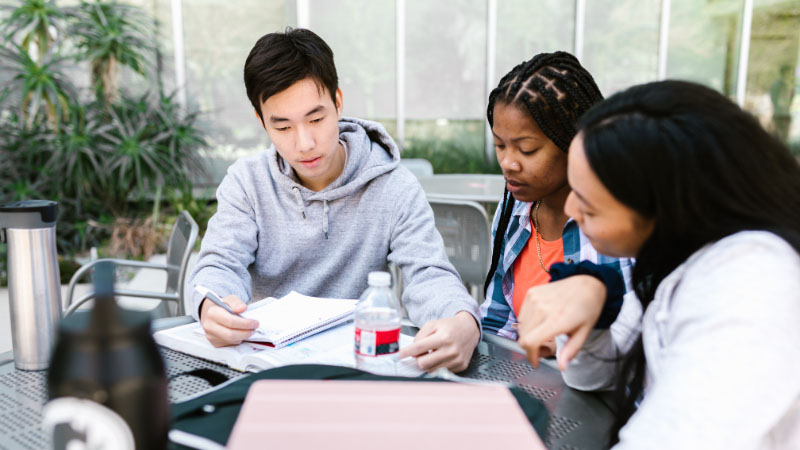 Students studying together at a table