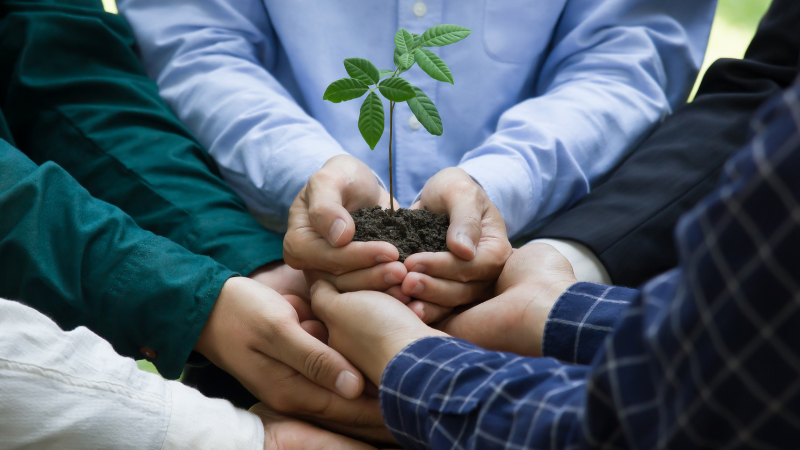 People with hands together holding a plant